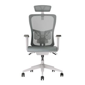 Decofis Lumbar Plus Fileli Yönetici Koltuğu