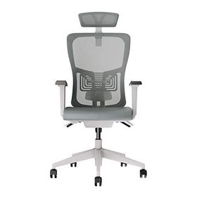 Decofis Lumbar Plus Fileli Yönetici Koltuğu