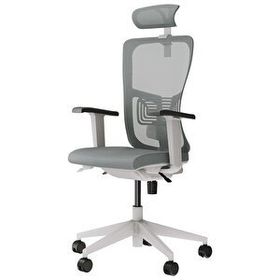 Decofis Lumbar Plus Fileli Yönetici Koltuğu