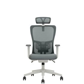 Decofis Lumbar Plus Fileli Yönetici Koltuğu