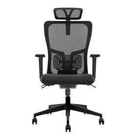 Decofis Lumbar Plus Fileli Yönetici Koltuğu
