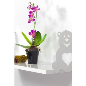 Decormet Kalpli Ayıcık Raf