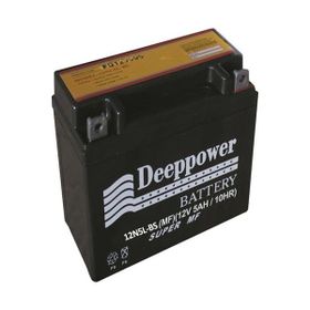 Deeppower 12N 5LBS Cup Motosiklet Aküsü