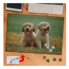 DEF68 Küçük Köpek Kardeşler 240 Parça Puzzle Yapboz Tablo