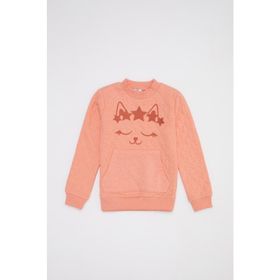 DeFacto 223297196 Mavi Çocuk Yazı Baskılı Erkek Çocuk Sweatshirt