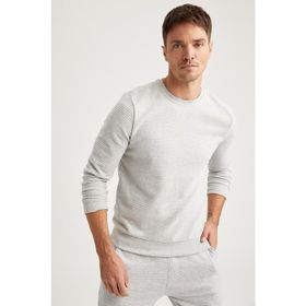 DeFacto 223831689 Gri Bisiklet Yaka Slim Fit Erkek Sweatshirt
