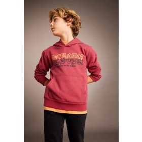 DeFacto B6312A823CW Erkek Çocuk Baskılı Kapüşonlu Kalın Sweatshirt