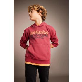 DeFacto B6312A823CW Erkek Çocuk Baskılı Kapüşonlu Kalın Sweatshirt