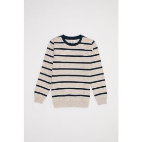 DeFacto H5951A617WNER105 Çizgili Yazı Baskılı Erkek Çocuk Sweatshirt