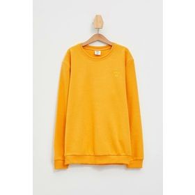 Defacto L0311A6.19AU.YL369 Sarı Erkek Çocuk Uzun Kollu Sweatshirt