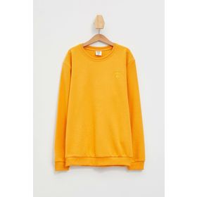 Defacto L0311A6.19AU.YL369 Sarı Erkek Çocuk Uzun Kollu Sweatshirt