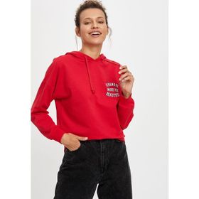 DeFacto N2574AZ20SPER105 Kapüşonlu Regular Fit Erkek Sweatshirt