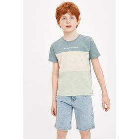 DeFacto N4071A620SMTR433 Renk Bloklu Bisiklet Yaka Erkek Çocuk T-shirt