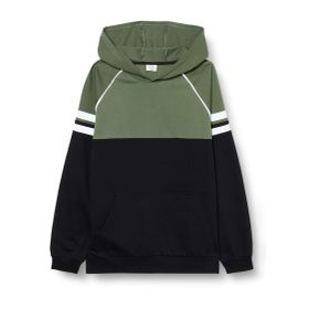 DeFacto N9296A619CWBK27 Fermuarlı Kapüşonlu Erkek Çocuk Sweatshirt