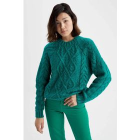 DeFacto Regular Fit Bisiklet Yaka Kazak