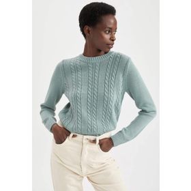 DeFacto Regular Fit Bisiklet Yaka Kazak