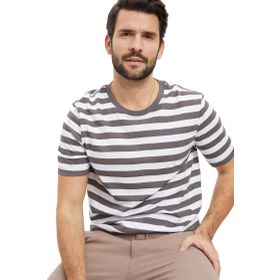 DeFacto S4954AZ20HS Erkek Çizgili Regular Fit Bisiklet Yaka Tişört