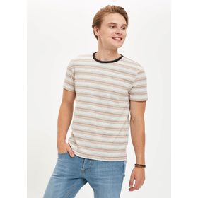 DeFacto S4954AZ20HS Erkek Çizgili Regular Fit Bisiklet Yaka Tişört