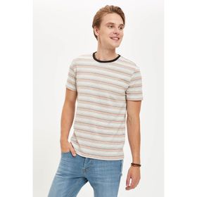 DeFacto S4954AZ20HS Erkek Çizgili Regular Fit Bisiklet Yaka Tişört