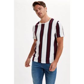 DeFacto S4954AZ20HS Erkek Çizgili Regular Fit Bisiklet Yaka Tişört