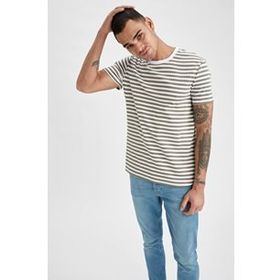 DeFacto S4954AZ20HS Erkek Çizgili Regular Fit Bisiklet Yaka Tişört