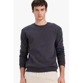 DeFacto T3777AZ25AU AR138 Antrasit Regular Fit Bisiklet Yaka Basic Erkek Sweatshirt