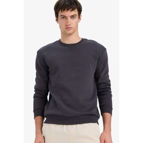 DeFacto T3777AZ25AU AR138 Antrasit Regular Fit Bisiklet Yaka Basic Erkek Sweatshirt