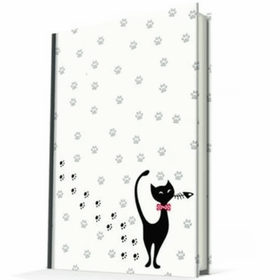 Deffter 8699164646289 Aristocrat Kedi 14x20 Çizgili Sert Kapak Defter