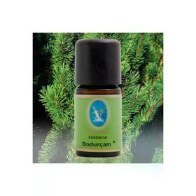 Defne Essencia 5 ml Bodur Çam Yağı