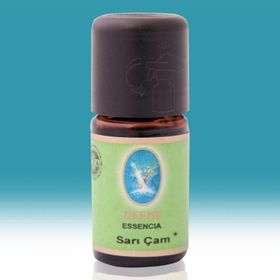 Defne Nuka Essencia 10 ml Sarı Çam Yağı