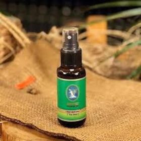 Defne Nuka Essencia 30 ml Hint Defnesi Yağı