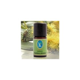 Defne Nuka Essencia 30 ml Okaliptus Citriodora Yağı