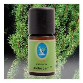 Defne Nuka Essencia 5 ml Bodur Çam Yağı