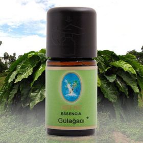Defne Nuka Essencia 5 ml Gül Ağacı Yağı