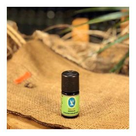 Defne Nuka Essencia 5 ml Hindistan Yağı