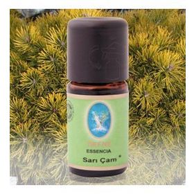Defne Nuka Essencia 5 ml Sarı Çam Yağı