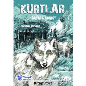 Değerler Eğitimiyle Öğretici Öyküler Dizisi Testli 10 Kitaplık Seri - kollektif