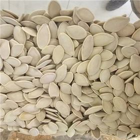 Değirmenim 500 gr Kabak Çekirdeği
