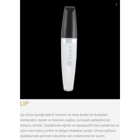 Deina Lip Gloss 01 Dudak Parlatıcısı