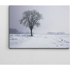 Dekolata Ağaç 40x60 cm Kanvas Tablo