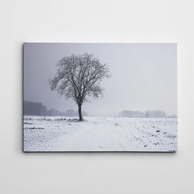 Dekolata Ağaç 50x70 cm Kanvas Tablo