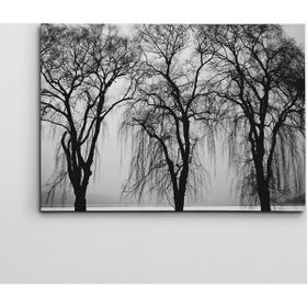 Dekolata Ağaçlar 40x60 cm Kanvas Tablo