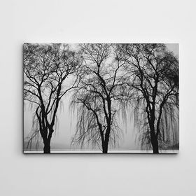 Dekolata Ağaçlar 70x100 cm Kanvas Tablo