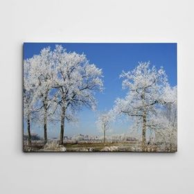Dekolata Ağaçlar ve Göl 50x70 cm Kanvas Tablo