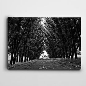 Dekolata Ağaçlar ve Yol 35x50 cm Kanvas Tablo
