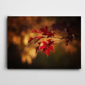 Dekolata Akçaağaç Yaprakları 25x35 cm Kanvas Tablo