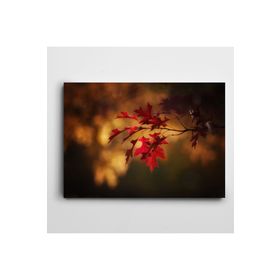 Dekolata Akçaağaç Yaprakları 30x40 cm Kanvas Tablo