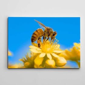 Dekolata Arı ve Çiçek 140x200 cm Kanvas Tablo