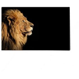 Dekolata Aslan 40x60 cm Kanvas Tablo