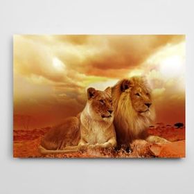 Dekolata Aslan 50x70 cm Kanvas Tablo